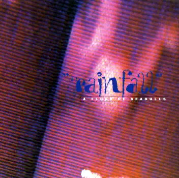 Rainfall (Album Version) — A Flock of Seagulls