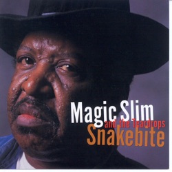 Magic Slim & The Teardrops - Please Don't Dog Me