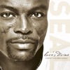 Seal - Love's Divine (Deepsky Club Mix)