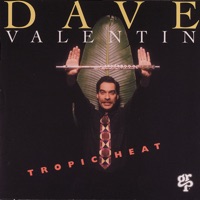 Dave Valentin - Live At The Blue Note Dave Valentin - Live At The Blue Note