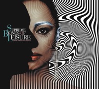 Divine Operating System - Supreme Beings of Leisure