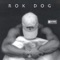 Pbe - Rok Dog lyrics
