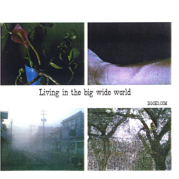 Living in the Big Wide World