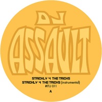 Pimpin Never Dies - EP - DJ Assault