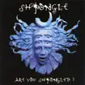 Fallen Angel (Shpongle Static mix)
