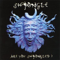 Shpongle - Shpongle Spores