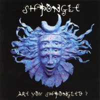 Shpongle Spores - Shpongle