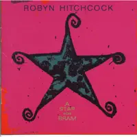 1974 — Robyn Hitchcock