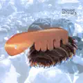 Mykologics