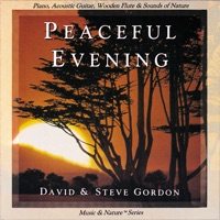 Music & Nature Series: Peaceful Evening - David & Steve Gordon