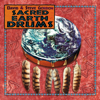 Sacred Earth Drums - David & Steve Gordon
