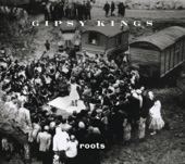 Roots, 2004