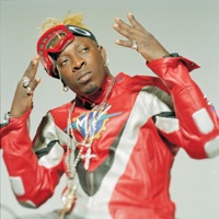 Jook Gal (Remix) - Single - Elephant Man, Twista, Young Bloodz & Kiprich