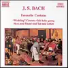 Johann Sebastian Bach, Nicholas Gedge, Nicholas Ward, Northern Chamber Orchestra & Schola Cantorum Of Oxford - Ich habe genug, BWV 82: II. Recitative: Ich habe genug