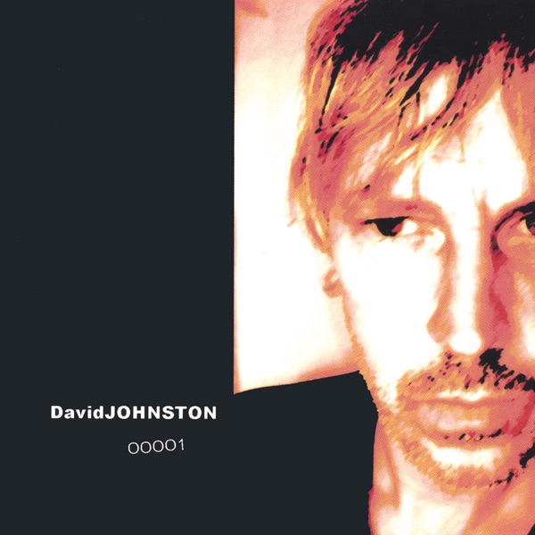Обложка альбома «David Johnston» — David Johnston