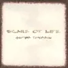 Scars Of Life - Nothing Left
