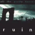 All the Pretty Horses