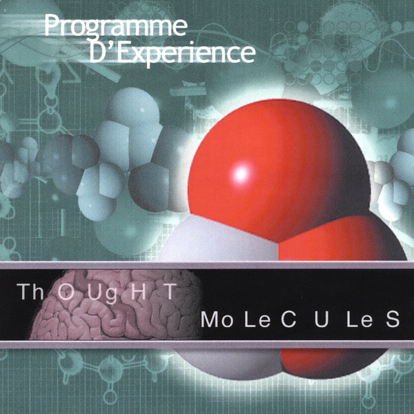 Programme D'Experience - Programme Divine, from the 2002 album 'Thought Molecules'