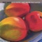Moonglow - Scott Foster & James Mason lyrics