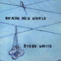 Brand New World - Steve White