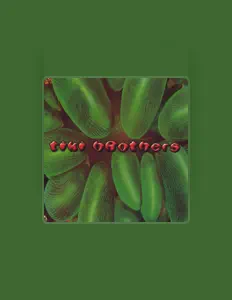 聆聽 Tiki Brothers、觀看音樂影片、閱讀小傳、查看巡演日期等！