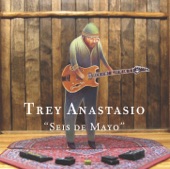 Trey Anastasio - Andre the Giant