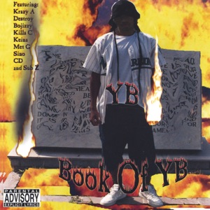 Book of YB