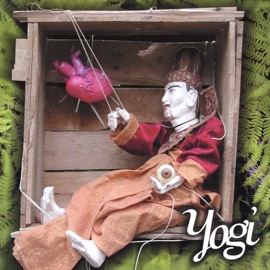 My Love for Lois Is Real Yogi