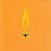 Burning Airlines