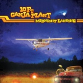 10 Ft. Ganja Plant - Ganja Plane Rider