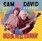 Swamp Thing - Sam Bush & David Grisman lyrics