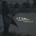 Follow Me Down