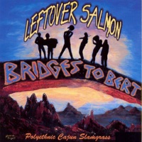 Bridges to Bert - Leftover Salmon
