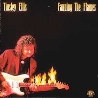 Fanning the Flames - Tinsley Ellis