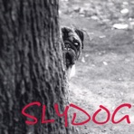 Slydog