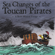 Yo Ho, Yo Ho, a Pirate's Life for Me - Toucan Pirates