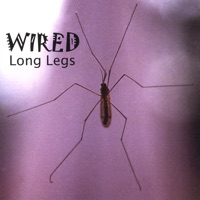Long Legs - Wired