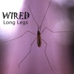 Long Legs