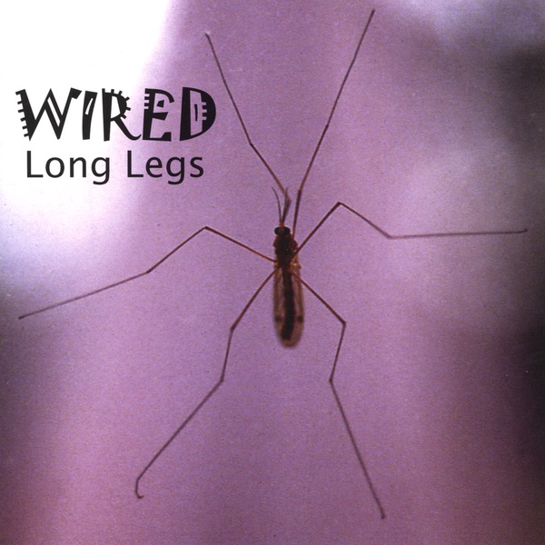 Long Legs