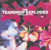 The Teardrop Explodes - Treason