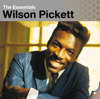 Wilson Pickett - Land of 1000 Dances bild