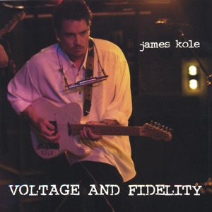 Voltage and Fidelity