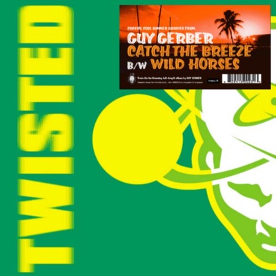 Catch the Breeze / Wild Horses - Single