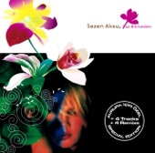 Sezen Aksu - Farkindayim