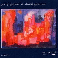 So What - Jerry Garcia & David Grisman