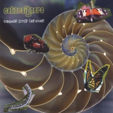 CatDesigners - Strange Little Creature