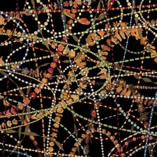 The Magnetic Fields - I Thought You Were My Boyfriend (Extended Mix)