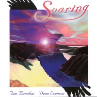 Soaring - Dean Evenson & Tom Barabas