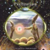 Psybration - Fundamental Progression, 2004