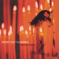 Virgen De La Caridad